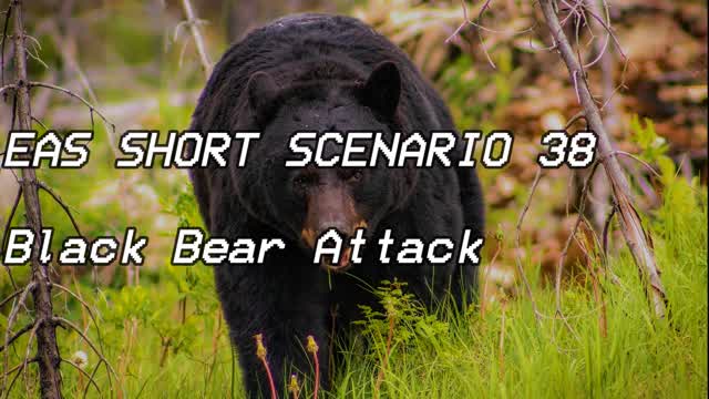 EAS Short Scenario 38 - Black Bear Attacks