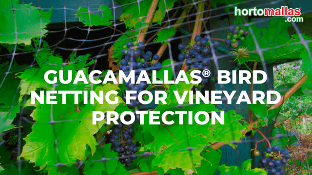 GUACAMALLAS® Bird Netting for vineyard protection