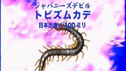 Japanese Bug Fights: Manticora Tiger Beetle vs. Yellow Leg Centipede (S02E19)