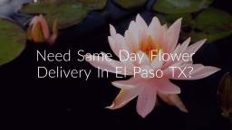 Same Day Flower Delivery In El Paso TX | (915) 229-5477