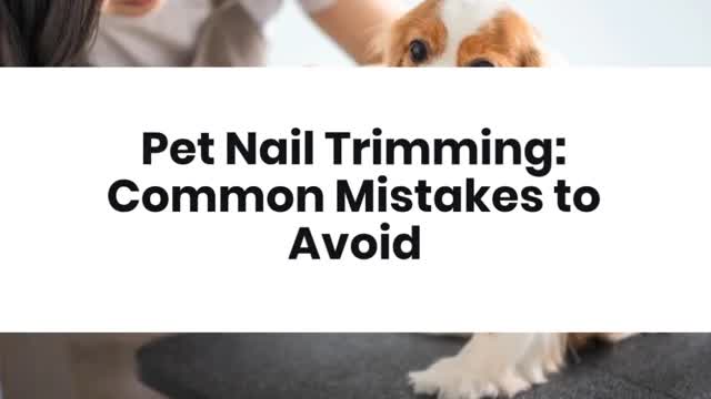 Pet Nail Trimming: Common Mistakes to Avoid