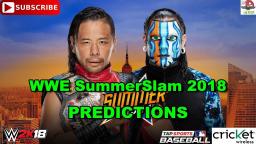 WWE SummerSlam 2018 United States Championship Shinsuke Nakamura vs. Jeff Hardy Predictions WWE 2K18