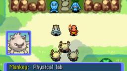 Pokemon Mystery Dungeon Red Rescue Team - New Team Base