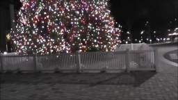 CHRISTMAS TREE @ RXR PLAZA UNIONDALE NY 2021