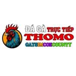 dagatructiep4