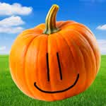 pumpkinn