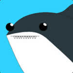 CatShark42