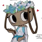 FiDasha