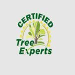 certifiedtreeexperts