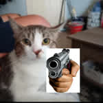 Kesdoset4real