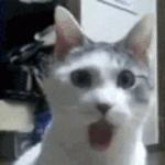 140