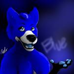 bluethefox