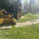 winchesterarborist