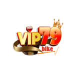 linkvip79borg