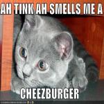dogeisfunnymeme