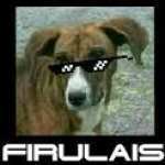 Firulais2oo8