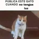 MatiasVL