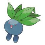 oddish907