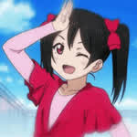 Fallconn