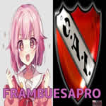 FrambuesaPro