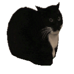 arkwastakenlmao