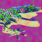Geckonomics