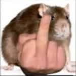 wwhwrtsdy
