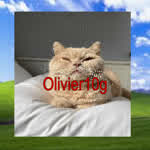 Olivier10g