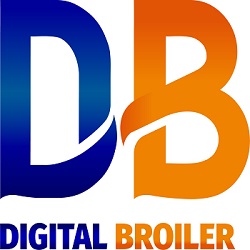 Digitalbroiler