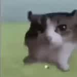 jamxcr