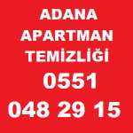 apartmantemizligi