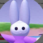 fittbunny24