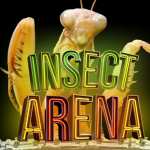 InsectArena