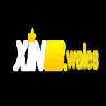 xin88wales