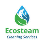 ecosteamclean
