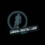 consultingfact069