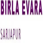 birlaevara860