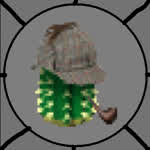 TheTheoryCactus