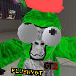 Flushygt
