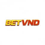 betvnddesign