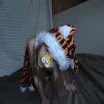 Apriltigerblvd