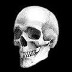 SteelSkull