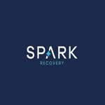 SparkRecovery