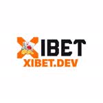xibetdev