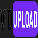 VidUploadOwner