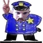 thevidliitroIIpolice