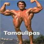 TamaulipasXD