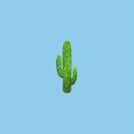 OnceUponACactus