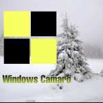WindowsCamaro2005