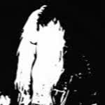 Necromierdon